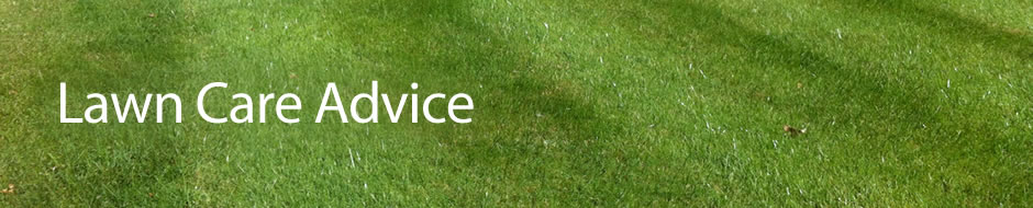 Lawn care advice