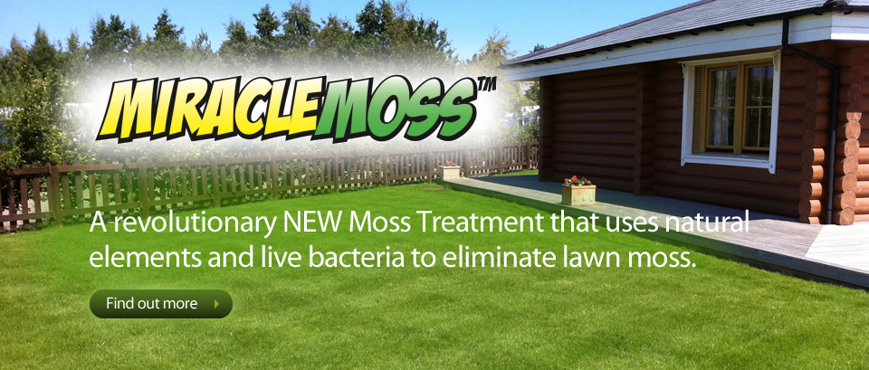 Moss removal by Lawn3 Northeast